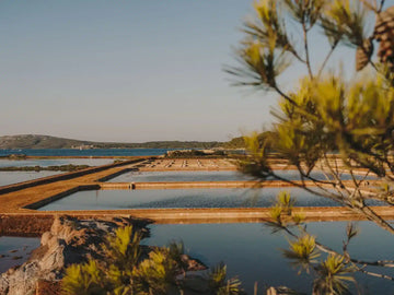 Las etapas de la producción de sal