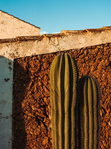 CONSERVACIÓN DE LA NATURALEZA