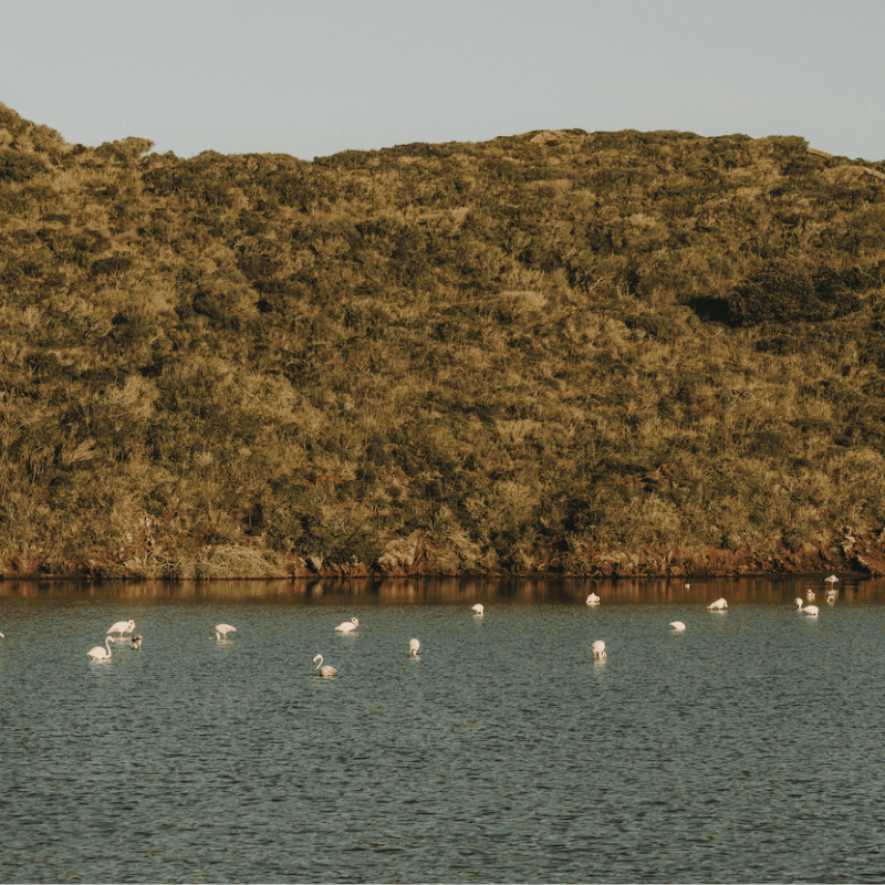 Visita guiada a las Salinas de la Concepción