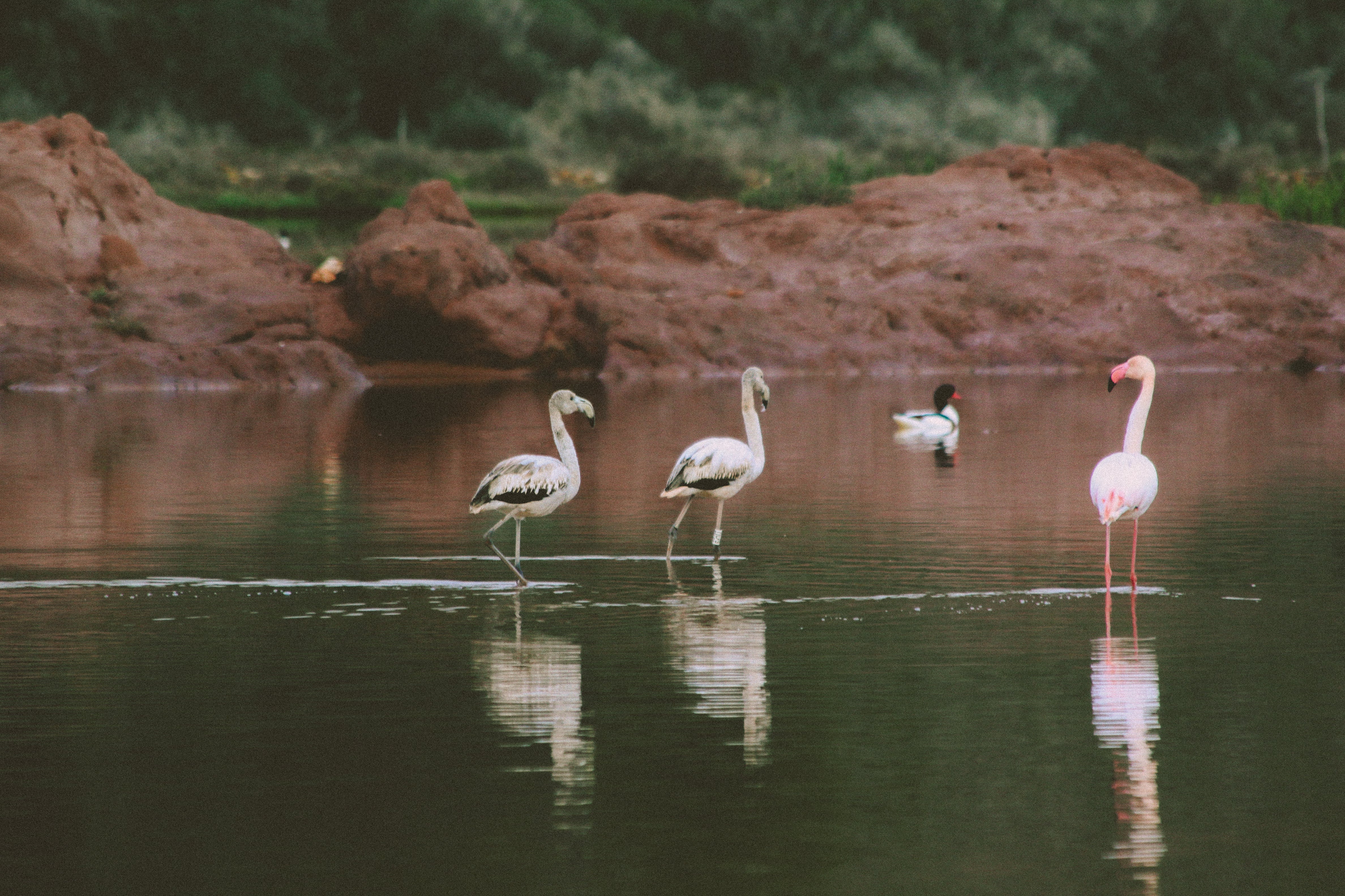 Visita guiada a las Salinas de la Concepción