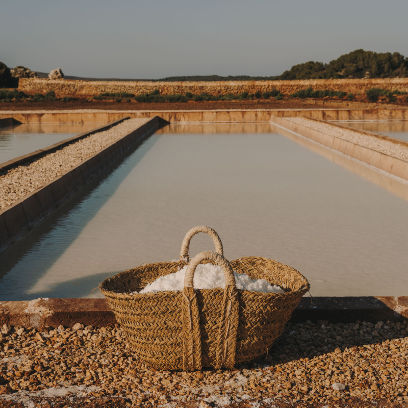 Visita guiada a las Salinas de la Concepcion, Menorca, canales de agua salada