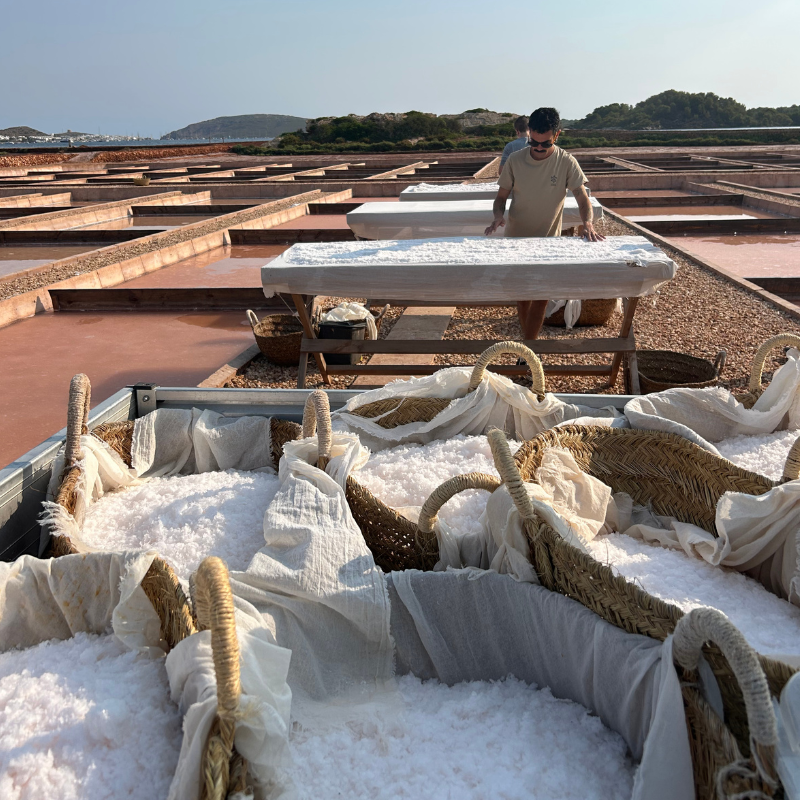 Visita guiada a las Salinas de la Concepcion, Menorca, guia explicando el proceso
