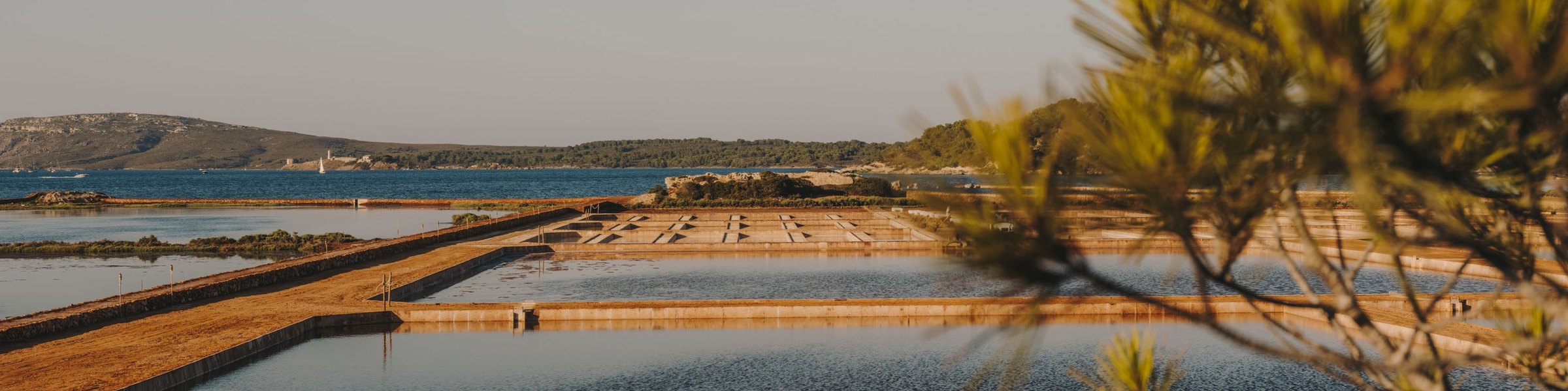 Balsas de las Salinas de la Concepción y la bahía de Fornells, Menorca
